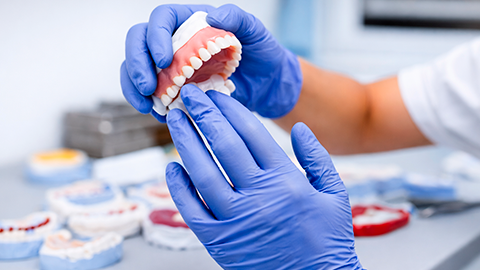 DNA Kingston Training