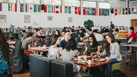 The University of Western Australia