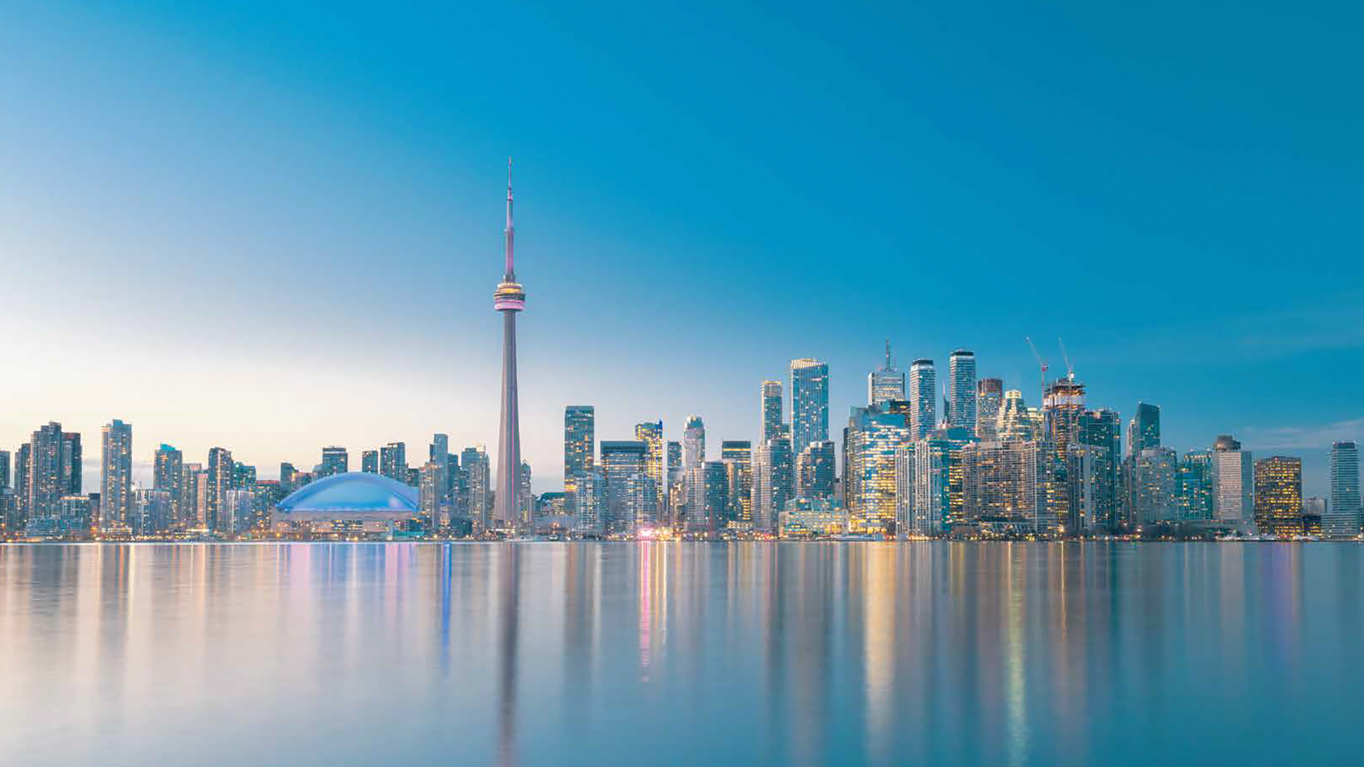 International Business University