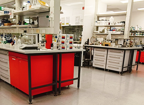 研究室内部の様子。実験デスクはすごく高かったです&hellip;！