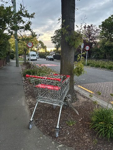 街を歩くと至る所でなぜかカートを見かけます